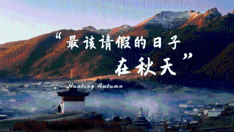 燃烧吧大脑免广告最新版