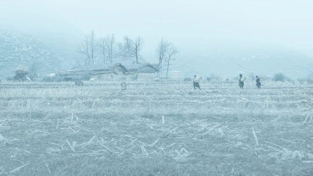 雷竞技比分